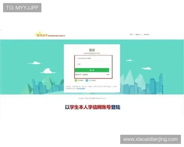 凯时首页入口：官方平台提供的多样化入口入口选择指南