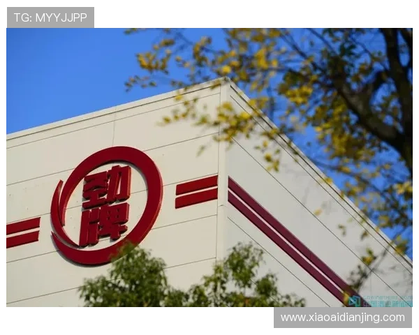 开云Kaiyun品牌文化与企业社会责任重大意义