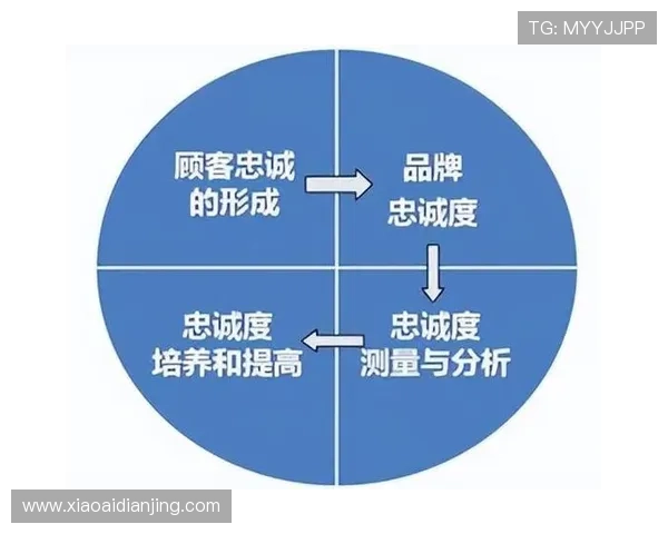 尊龙集团在全球化背景下的品牌建设与市场定位分析