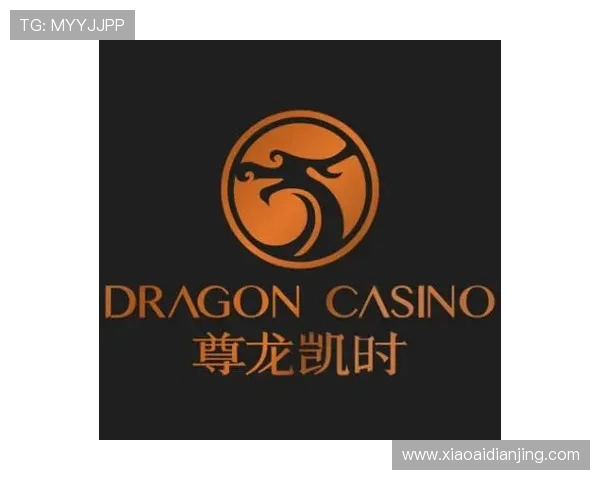 尊龙凯时登陆入口最新版本上线,畅享无忧娱乐新体验 尊龙凯时登陆入口最新版本上线,畅享无忧娱乐新体验