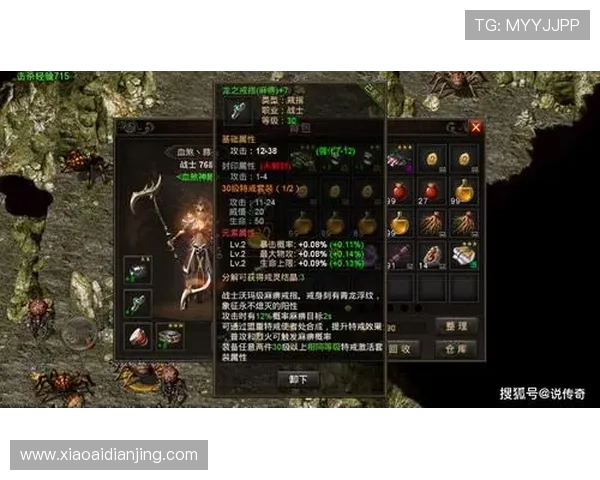 Z6尊龙游戏官网中的新手指南，帮助新玩家快速熟悉游戏操作与玩法技巧