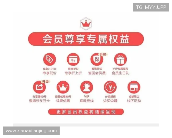 凯时贵宾会全面解析会员尊享权益与专属福利提升体验