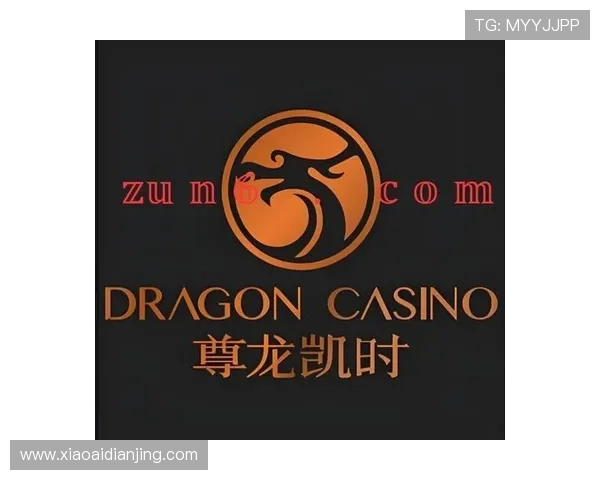 尊龙app官网下载最新版本,享受高清画质和流畅操作体验 尊龙app官网下载最新版本,享受高清画质和流畅操作体验