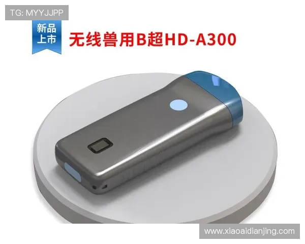 尊龙凯时官网下载最新版本下载速度快体验流畅无卡顿