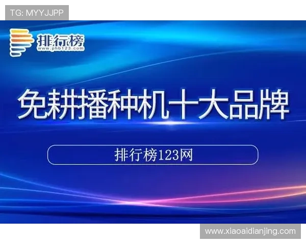尊龙新版人生就是博未来发展趋势，分析游戏更新方向与玩家期待的最新动态